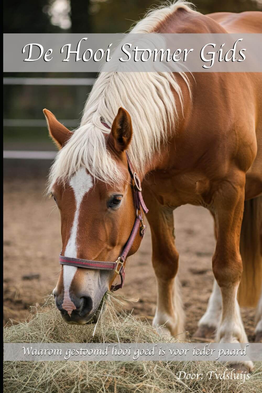 Hooistomer De Ton - Premium set (zwarte set)