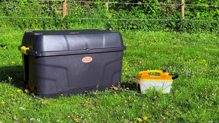 Zwarte hooistomer de krui in weiland